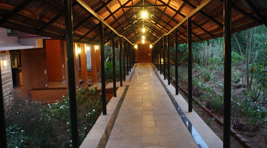 all-buildings-are-connected all buildings are connected Discover True Healing at Vaidyagrama: A Sanctuary for Authentic Ayurveda in South India