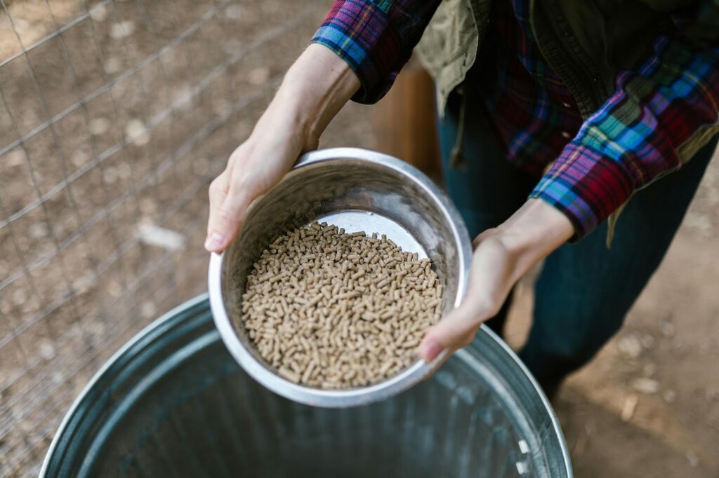 animal feed supplier How to Choose the Best Animal Feed and Equipment Supplier for Your Farm’s Success