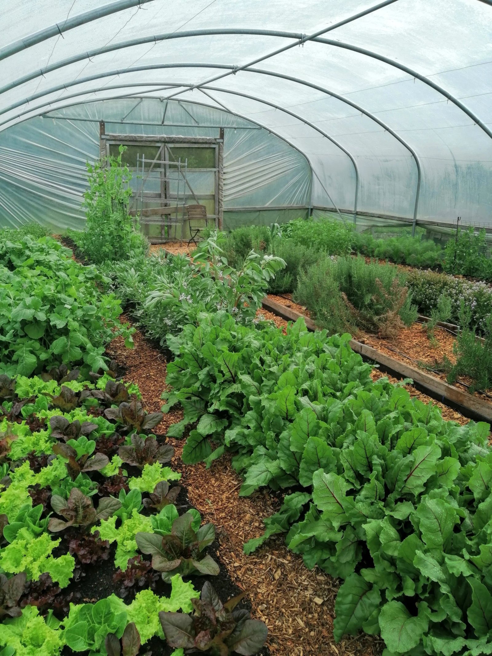 Discovering the riches of Adam Crofts - Analyzing His Astonishing Net Worth and Financial Journey 4 Discovering the riches of Adam Crofts - Analyzing His Astonishing Net Worth and Financial Journey