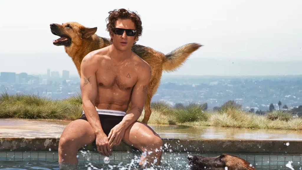 jeremy allen white calvin klein