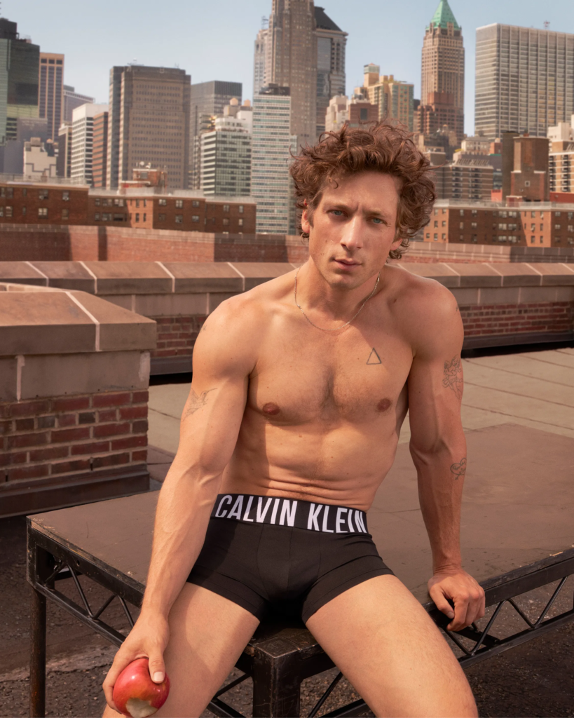 image 2 Jeremy Allen White Calvin Klein