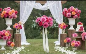 image 32 Boylecheloid Flower: A Complete Guide