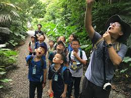 image 103 Why a Chinese Summer Camp in China Should Be Your Next Educational Adventure