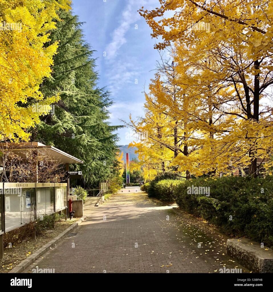 yellow spring road japan